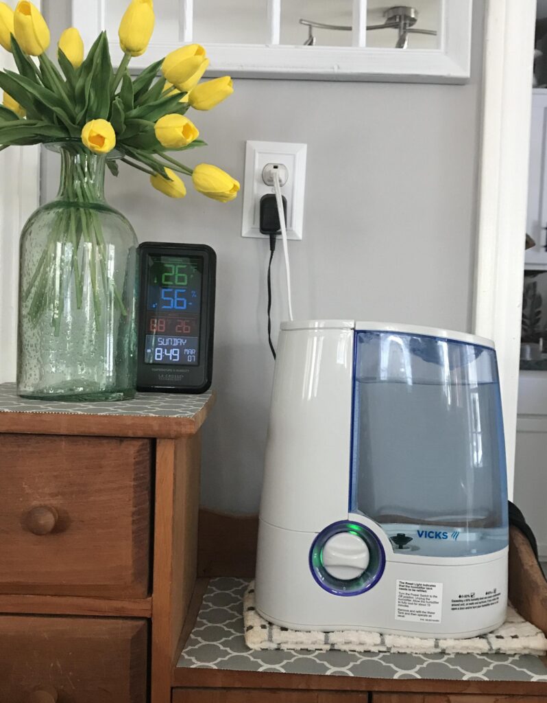 Best Air Humidifiers