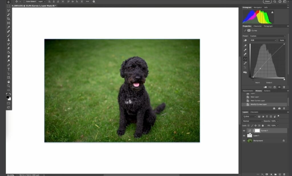 Lightroom vs Photoshop